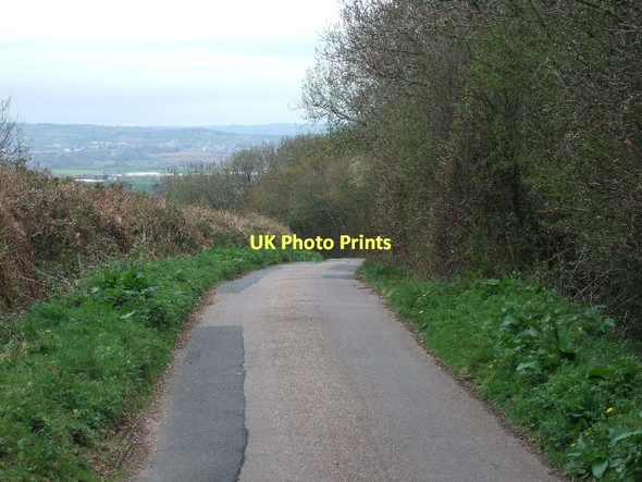 Photo 6"x4" The road to Coombe Park Hawkerland c2011