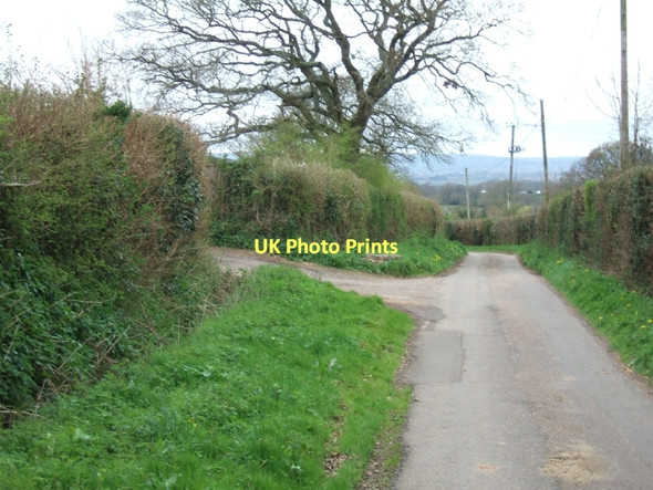 Photo 6"x4" Toby Lane Woodbury\/SY0187 c2011