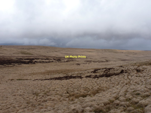 Photo 6"x4" Gors y Nod from the south Grafiau c2011