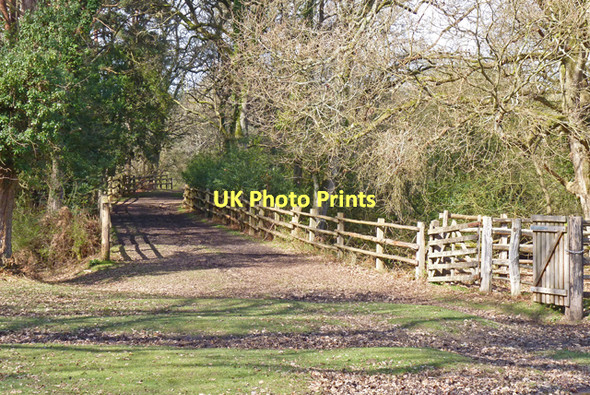 Photo 6"x4" Footpath, New Forest Furzey Lodge c2011