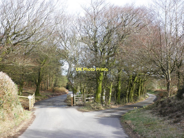 Photo 6"x4" Farm access road, on Culbone Hill Oareford c2011