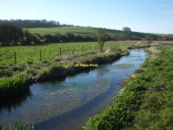 Photo 6"x4" Sydling Brook, near Frampton Grimstone\/SY6494 c2011