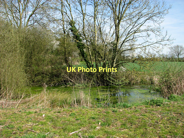 Photo 6"x4" Pond beside track on Dumpling Green, East Dereham Dumpling Green c2011
