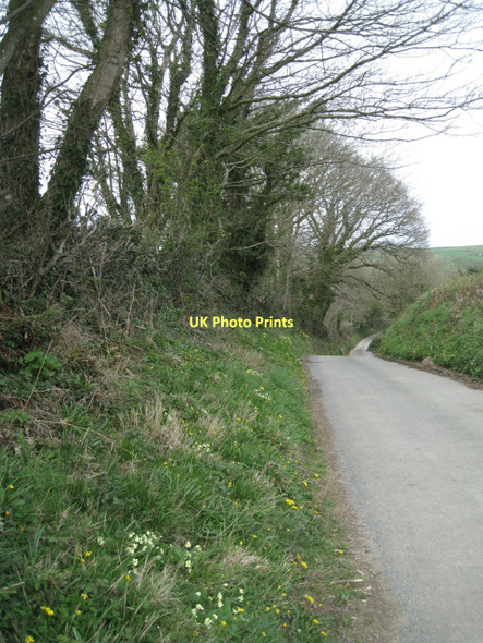 Photo 6"x4" Downhill to Bow from Bow Cross Abbotsleigh c2011
