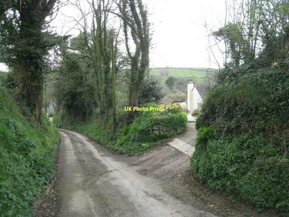 Photo 6"x4" Lane down to Abbotsleigh Abbotsleigh c2011