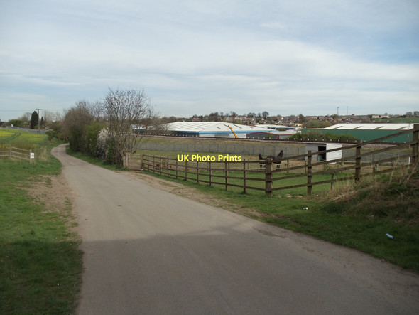Photo 6"x4" Horses in a field off Sowgate Lane Knottingley c2011