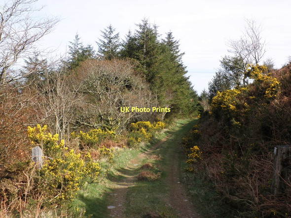 Photo 6"x4" Track, down to Glenthorne Beach Malmsmead c2011