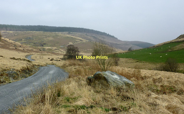 Photo 6"x4" Cwm Tywi near Dolgoch, Ceredigion Dolgoch\/SN8056 c2011