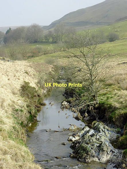 Photo 6"x4" Afon Tywi north of Dolgoch, Ceredigion Nant-ystalwyn c2011 P1