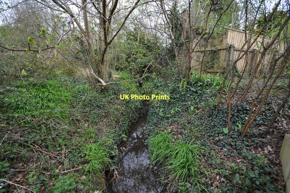 Photo 6"x4" The view upstream from a footpath near Hornbeam Hollow Barnstaple c2011