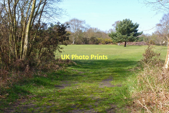Photo 6"x4" West Boundary of Dudmoor Golf Course Fairmile\/SZ1594 c2011