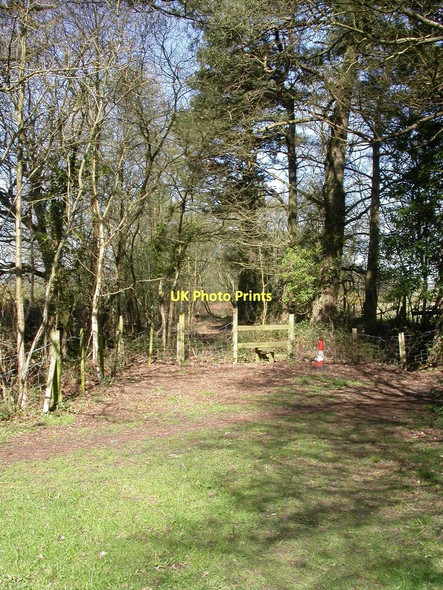 Photo 6"x4" St. Leonards, stile Grange Estate c2011