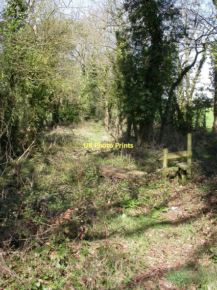 Photo 6"x4" St. Leonards, footbridge Grange Estate c2011