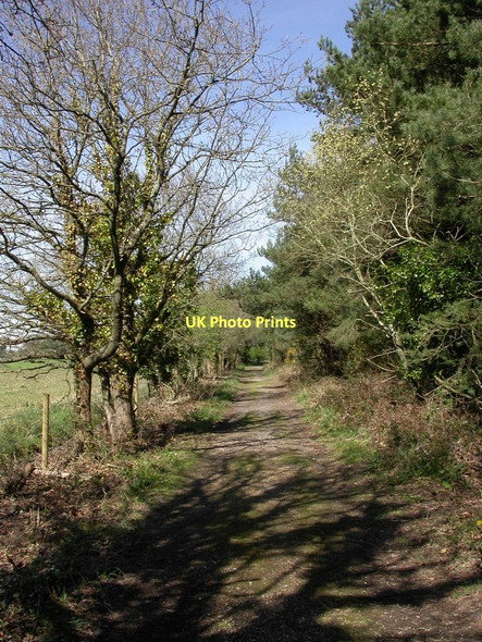 Photo 6"x4" Avon Heath, bridleway Grange Estate c2011