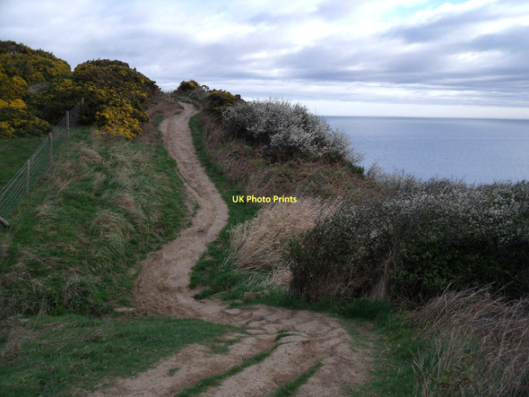 Photo 6"x4" Cleveland Way towards Whitby Robin Hood's Bay\/NZ9505 c2011