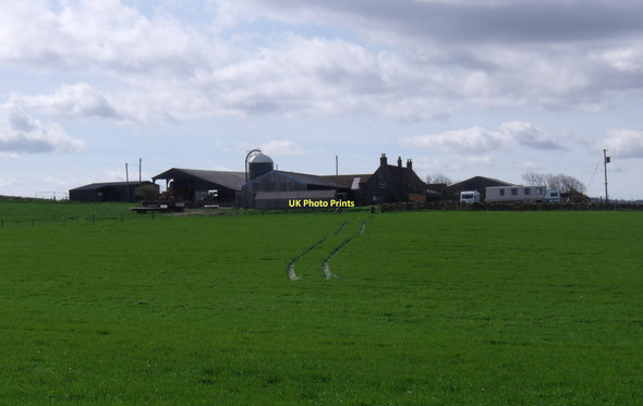 Photo 6"x4" Brook House Farm Whitby\/NZ8910 c2011