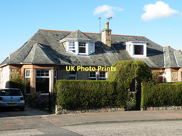 Photo 6"x4" Arched Hedge Blackhall\/NT2174 c2011