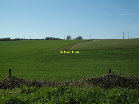 Photo 6"x4" Crop fields near Bradford Peverell Dorchester\/SY6890 c2011