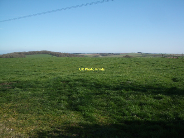 Photo 6"x4" Pasture land near Southover (Longlands Farm) Southover\/SY6294 c2011