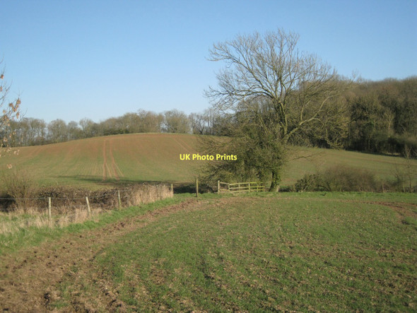 Photo 6"x4" Knoll near Langley Range Tattle Bank c2011