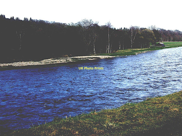 Photo 6"x4" A shingle bank Silverbank c2011