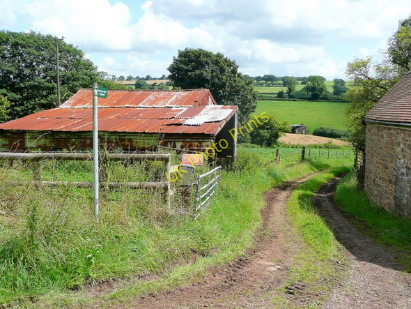 Photo 6"x4" Gloucestershire Way at Green Farm Plump Hill c2009