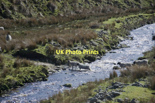 Photo 6"x4" River Calder Oakenclough\/SD5447 c2011