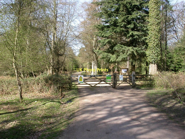 Photo 6"x4" Wilverley Inclosure, gate Mead End\/SZ2698 c2011