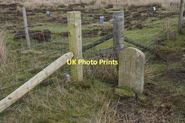 Photo 6"x4" Boundary Stone and fence junction on Grizedale Fell Street\/SD5252 c2011