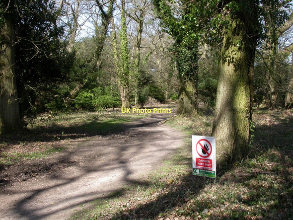 Photo 6"x4" Wilverley Inclosure, warning notice South Weirs c2011