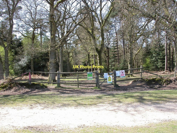 Photo 6"x4" Wilverley Inclosure, gate Bisterne Close c2011