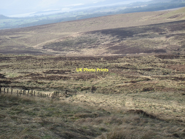 Photo 6"x4" Fence on Stockie Muir Dumgoyne\/NS5283 c2011