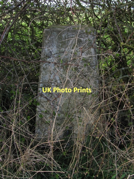 Photo 6"x4" Lennel Hill triangulation pillar Lennel c2011