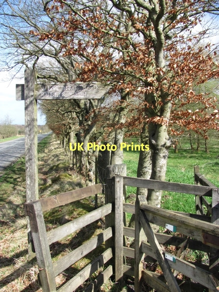 Photo 6"x4" Footpath sign, West Harwood Woolfords Cottages c2011