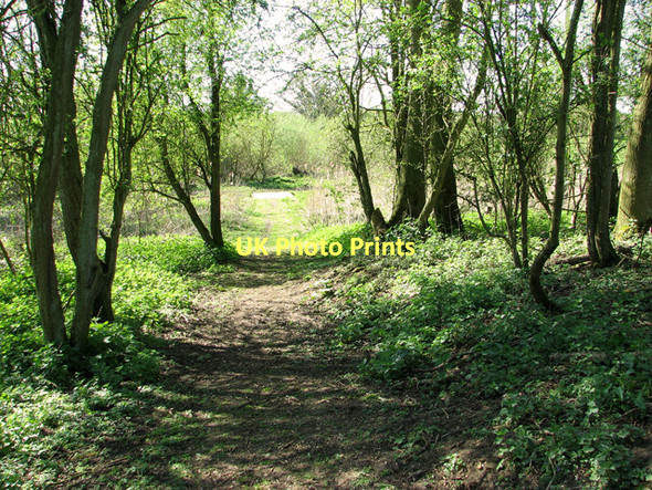 Photo 6"x4" Public footpath south of Tasburgh Low Tharston c2011