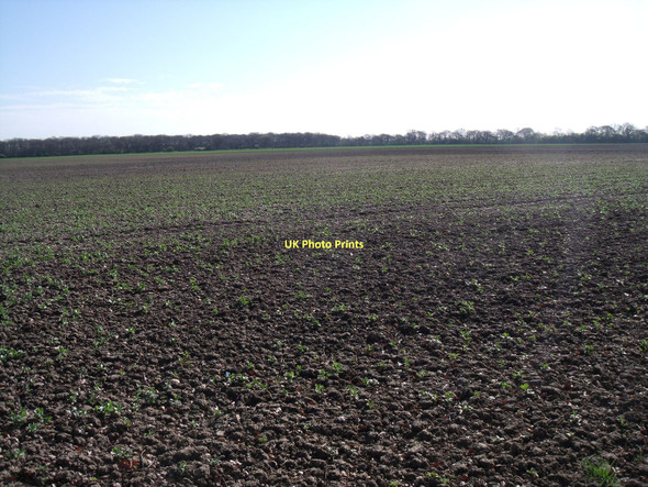 Photo 6"x4" Farmland near Spaldington Grange North Howden c2011