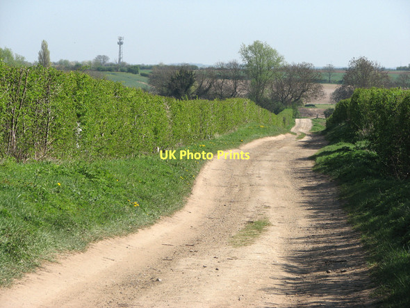 Photo 6"x4" The Drift Heathfield\/TL4546 c2011