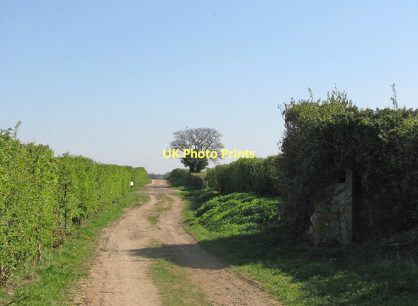Photo 6"x4" Thriplow: overgrown pillbox on The Drift Heathfield\/TL4546 c2011