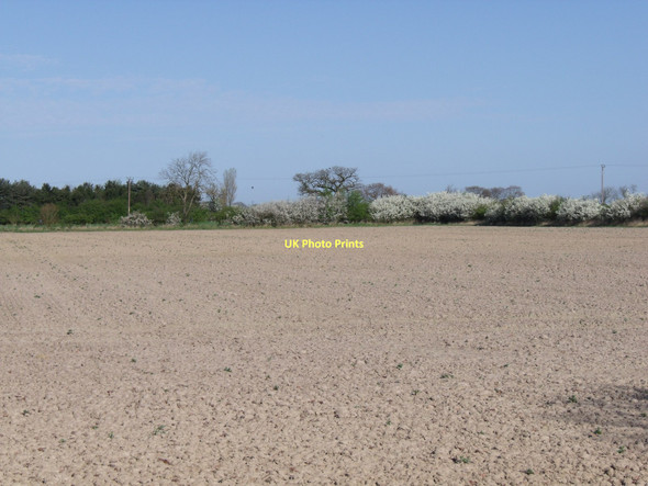 Photo 6"x4" Farmland near Cottage Farm Spaldington c2011