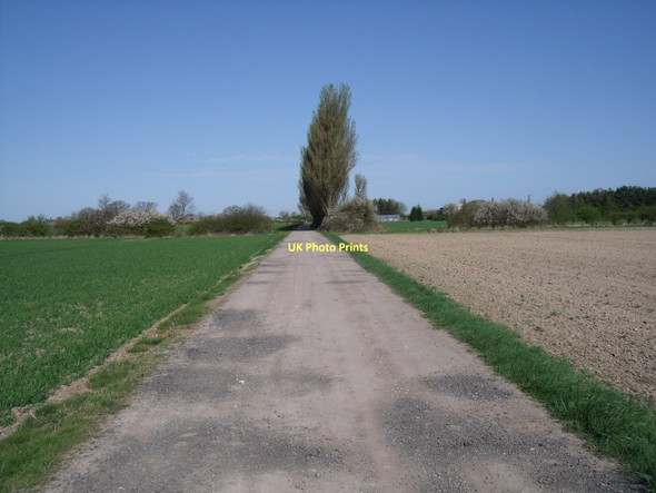 Photo 6"x4" Track to Cottage Farm Spaldington c2011