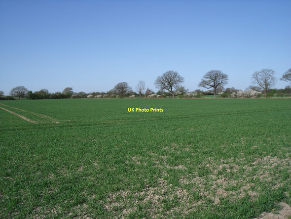 Photo 6"x4" Farmland, Cottage Farm Spaldington c2011