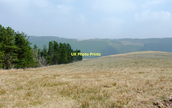 Photo 6"x4" Moorland and forest landscape near Soar-y-Mynydd, Ceredigion Camddwr\/SN7754 c2011