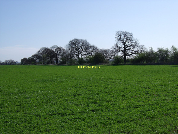 Photo 6"x4" Farmland north of Spaldington Spaldington c2011