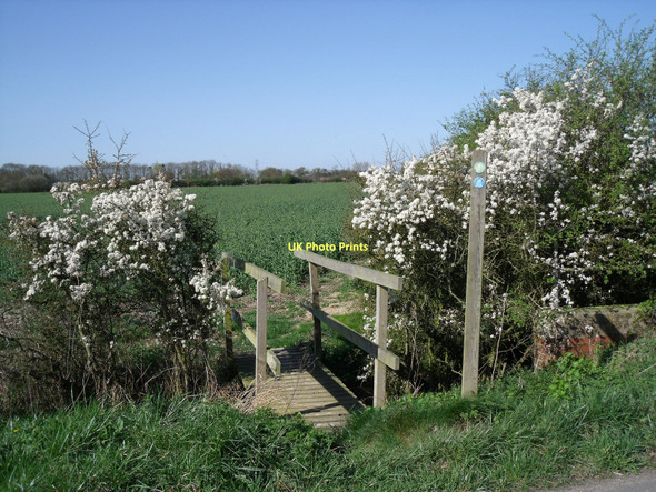 Photo 6"x4" Footpath off Tottering Lane Willitoft c2011