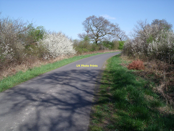 Photo 6"x4" Bell Lane towards Foggathorpe Foggathorpe c2011
