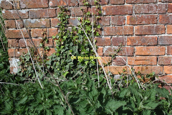 Photo 6"x4" Benchmark and nettles at Grove Barn Ipsden c2011