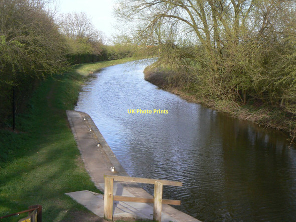 Photo 6"x4" Chesterfield Canal below Gringley Lock Gringley on the Hill c2011