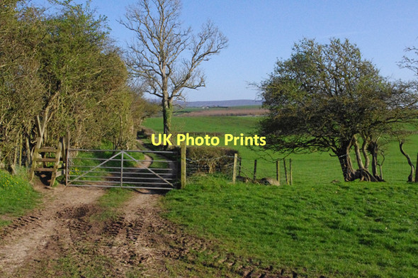Photo 6"x4" Track near Nether Kellet Carnforth c2011