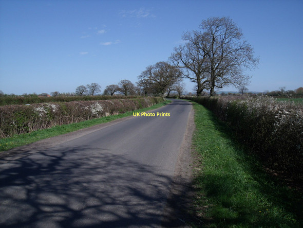 Photo 6"x4" Southfield Lane towards Seaton Ross Water End\/SE7838 c2011