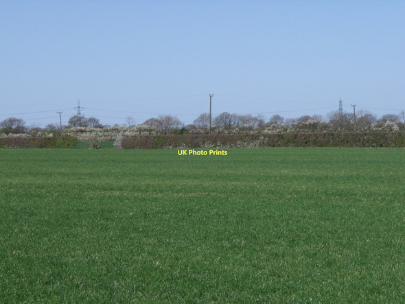 Photo 6"x4" Farmland, Grange Farm Laytham c2011